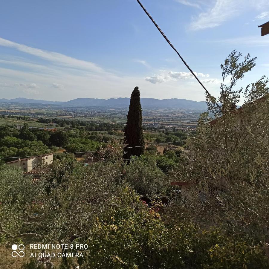 فيلا Casa Matigge المظهر الخارجي الصورة